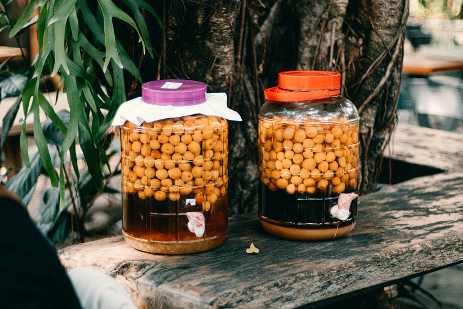Ancient Secrets of Fermented Alchemy