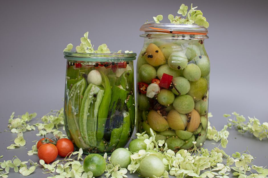 Unlocking Fermentation's Ancient Secrets